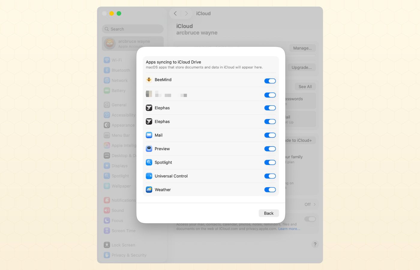 iCloud settings on Mac with BeeMind enabled